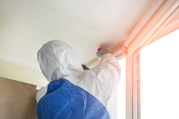 Best Black Mold Removal  in Pomeroy, WA